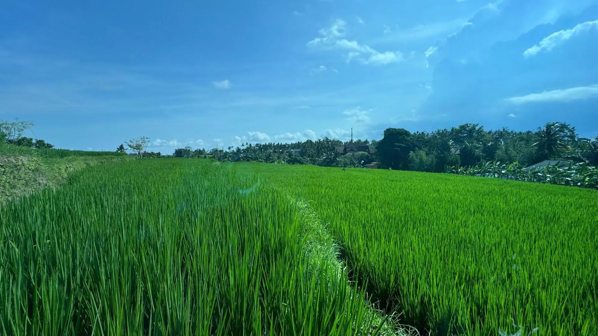 Holiday home Kari Senja Luxury Villa Ubud